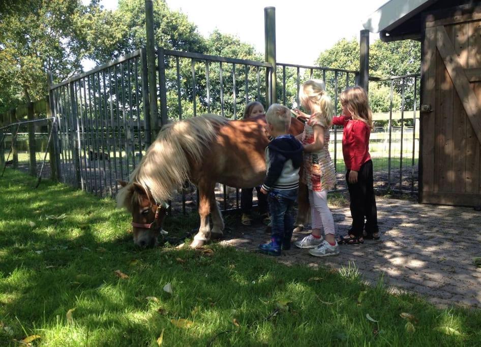 Grijpskerkseweg 3 Voorhuis 오스트카펠 외부 사진